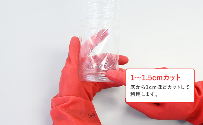 底から1～1.5cmをカット