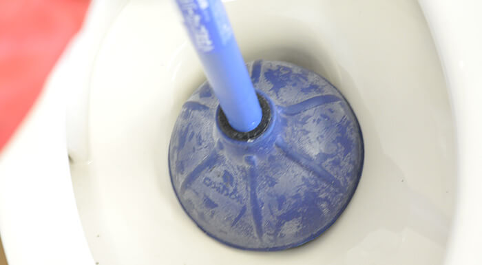 スッポン（ラバーカップ）の先端を排水口にセットする