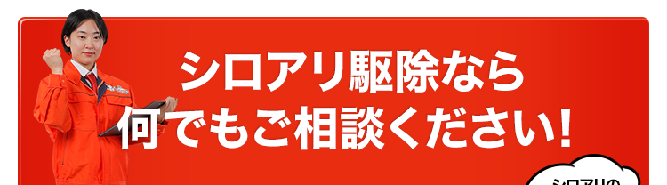 シロアリ駆除なら何でもご相談ください！