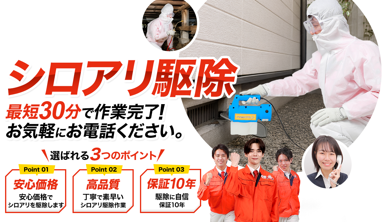 シロアリ駆除 最短30分で作業完了！お気軽にお電話ください。