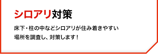 床下・柱の中などシロアリが住み着きやすい場所を調査し、対策します！