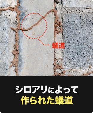 建物への被害