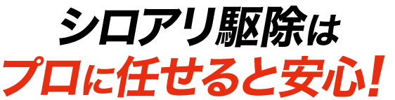 シロアリ駆除はプロに任せると安心！