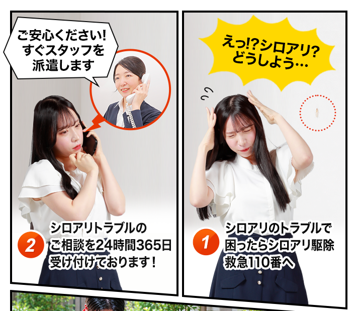 シロアリのトラブルが発生～相談するイメージ