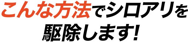 こんな方法でシロアリを駆除します！
