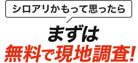 シロアリかもって思ったらまずは無料で現地調査