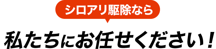 シロアリ駆除なら私たちにお任せください!