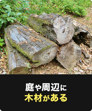 庭や周辺に木材がある