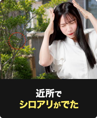 近所でシロアリがでた
