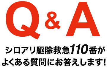 Q&A シロアリ駆除救急110番がよくある質問にお答えします！